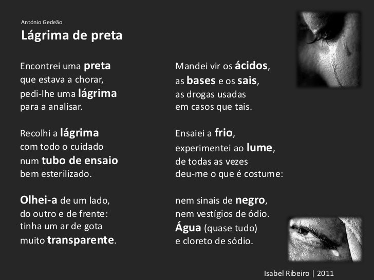esta imagem é apenas decorativa