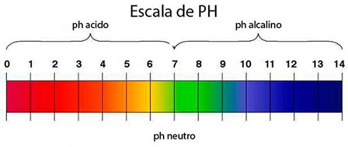 esta imagem é apenas decorativa